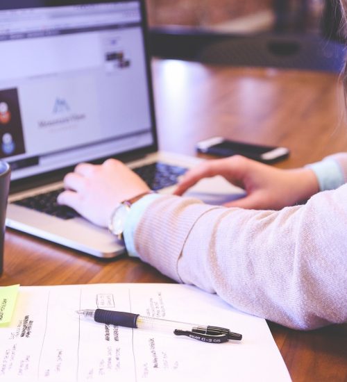 adina mitrofan curs online